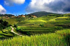 農業(yè)氣象站在農業(yè)園區(qū)的應用