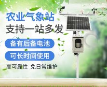 農業遇到洪澇、凍害怎么辦？